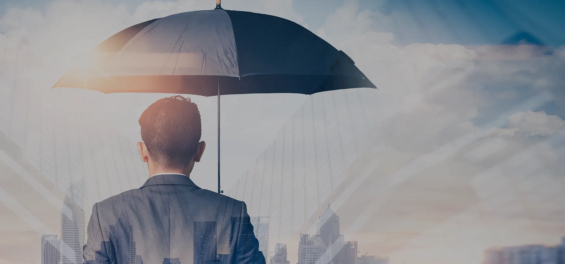 Assurances solidaires, contrat et devis